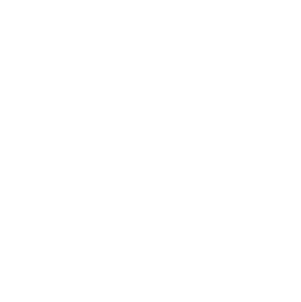 arianarae logo